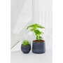 Pottery Pots Rough Patt ronde plantenbak zwart